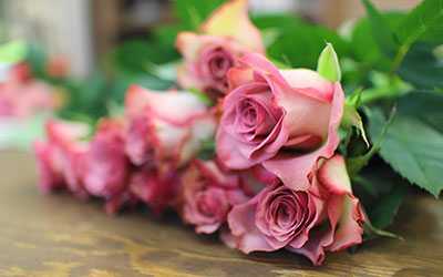 flower shop reading ma
